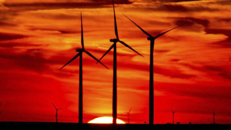 Para el 2050, la mitad de la electricidad mundial provendrá de plantas eólicas y solares