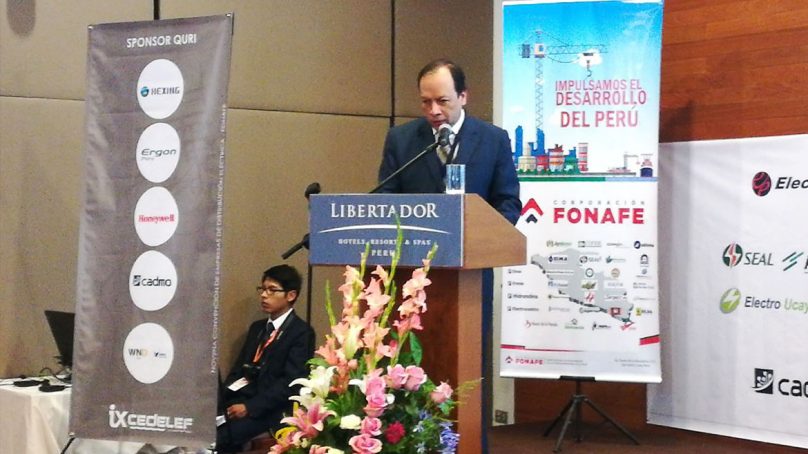Viceministro de Electricidad: Necesidades de inversión en distribuidoras estatales son “muy grandes”