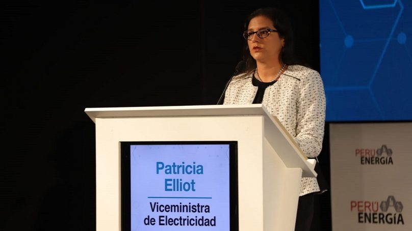 Patricia Elliot: «Perú tiene una matriz energética más limpia que el promedio mundial»