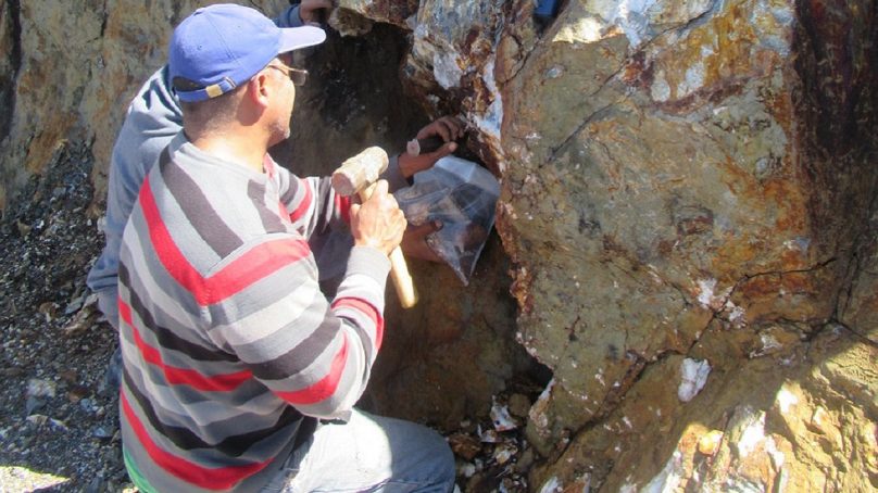 Palamina afirma haber hallado 74,5 g/t de oro en Puno